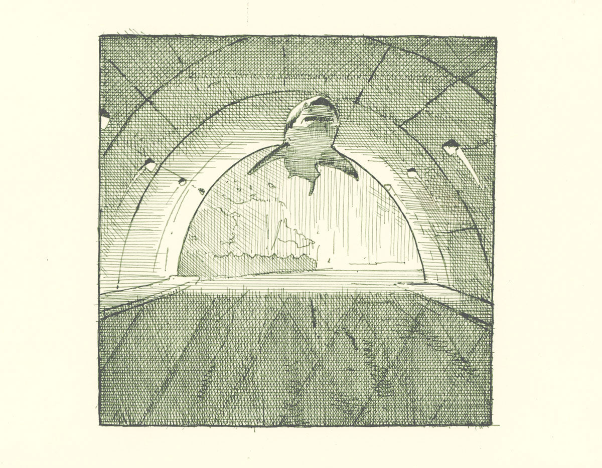 Chris Austin: Sketch #3