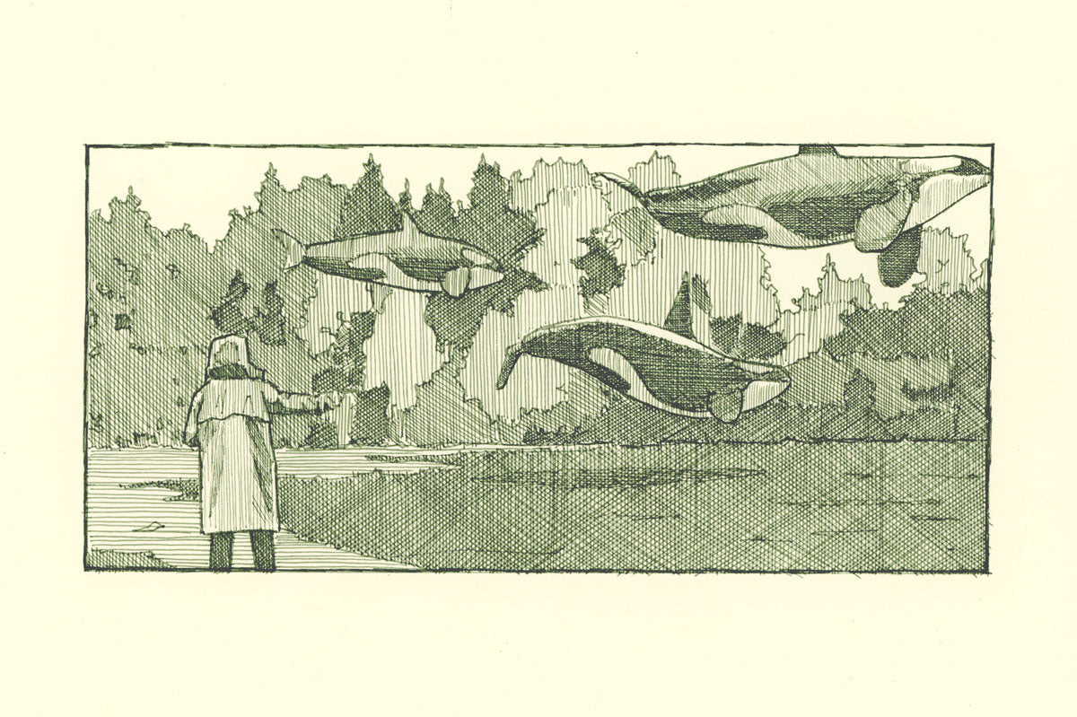 Chris Austin: Sketch #5