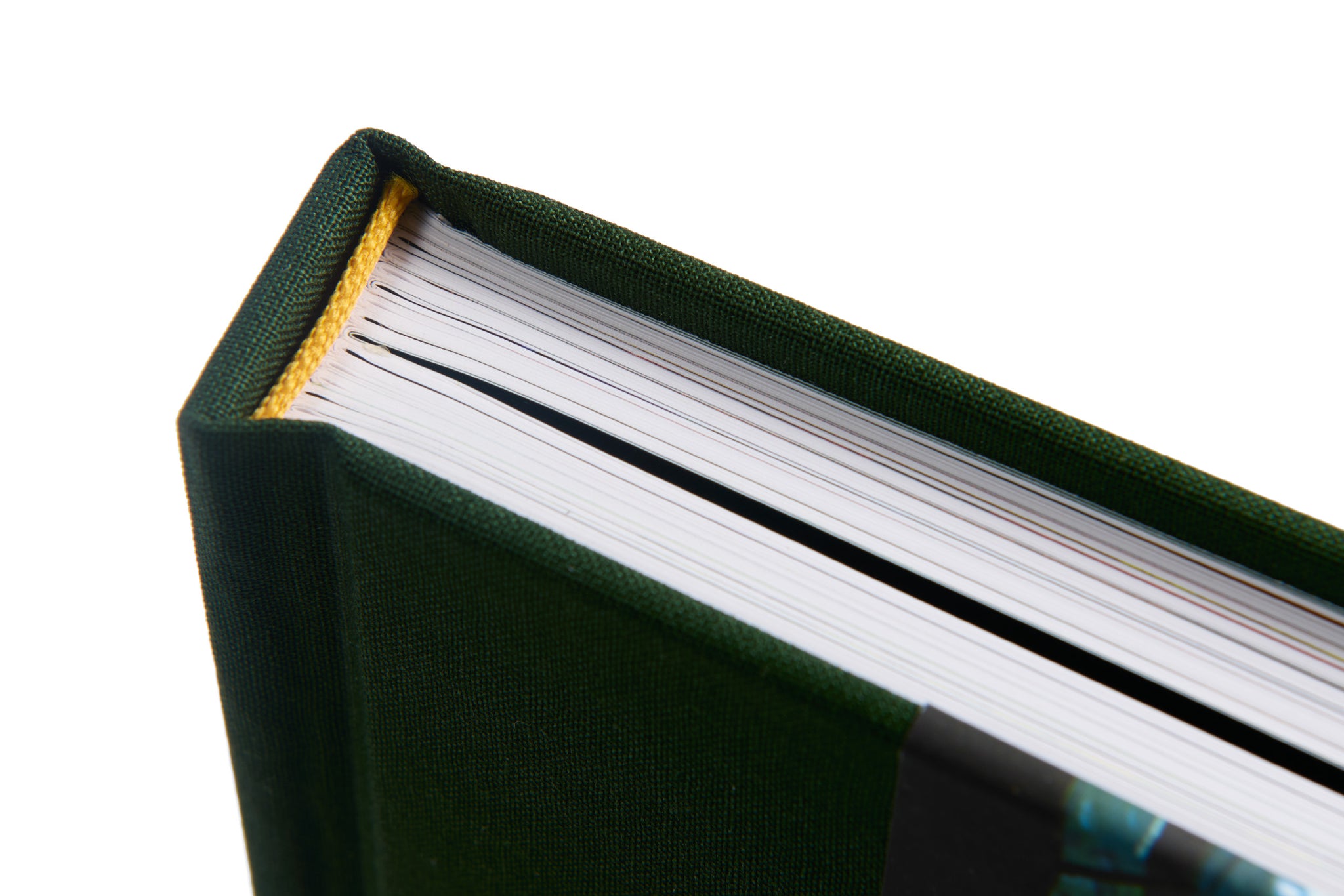 Close-up of a green book with white pages on a white background