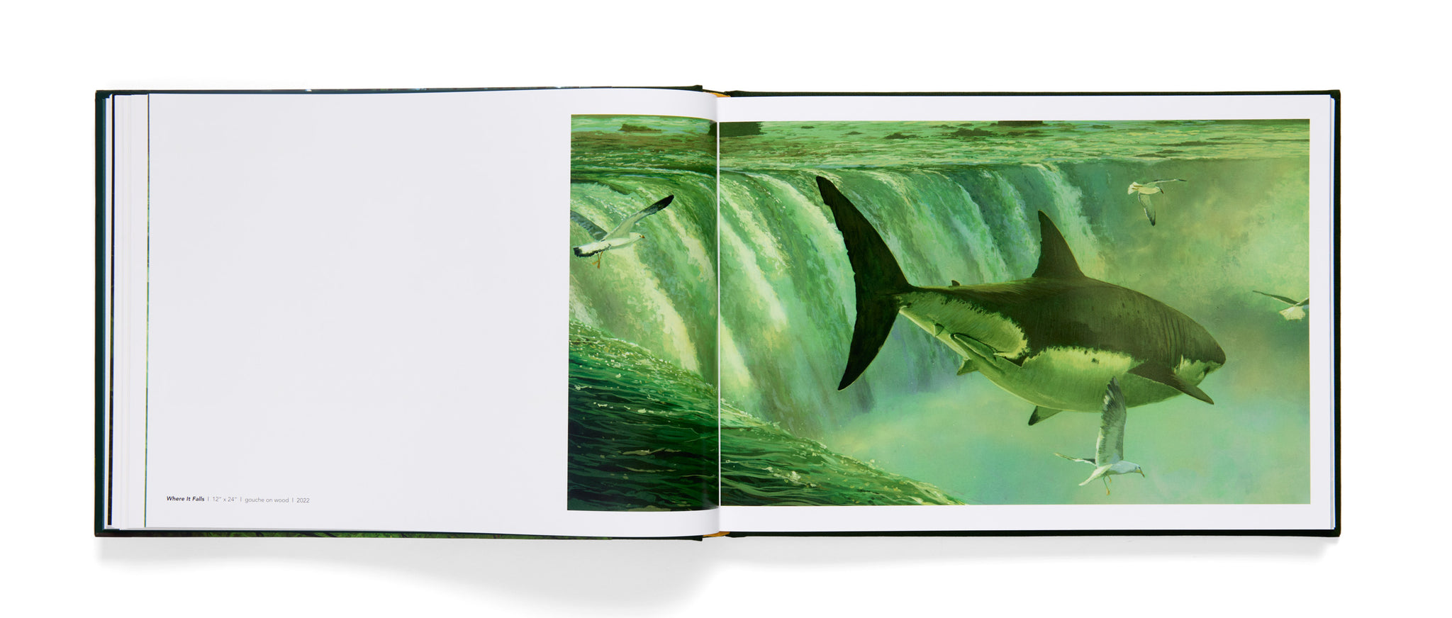 Open book showing a photograph of a shark underwater