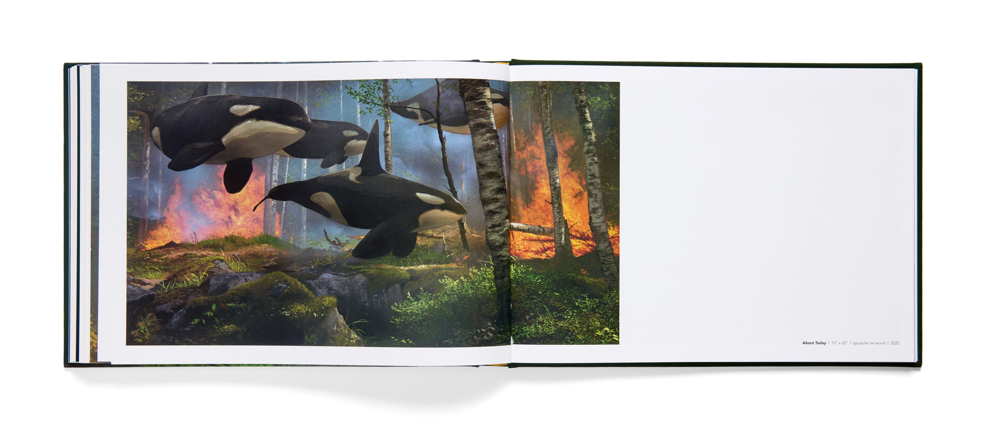Open book showing a nature scene with orcas and trees