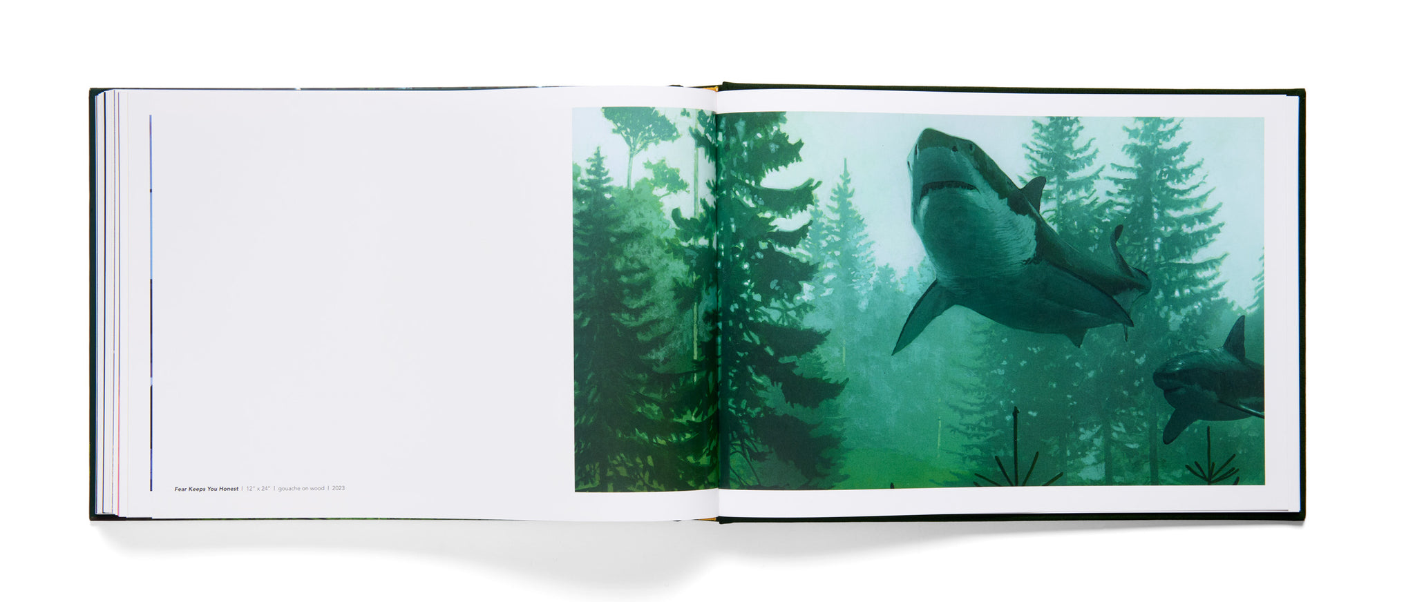 Open book showing a shark in an underwater forest scene
