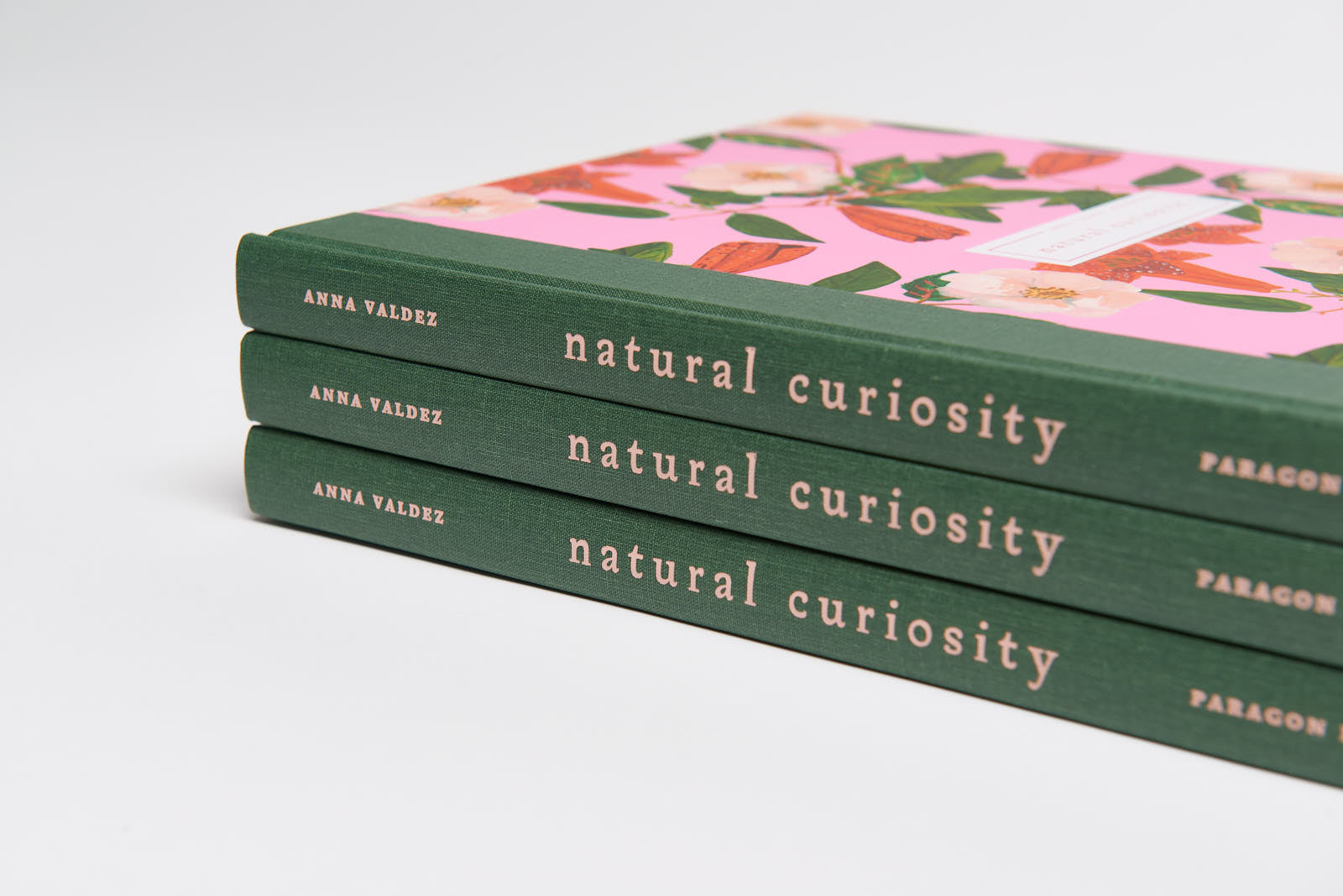 Anna Valdez: "Natural Curiosity"